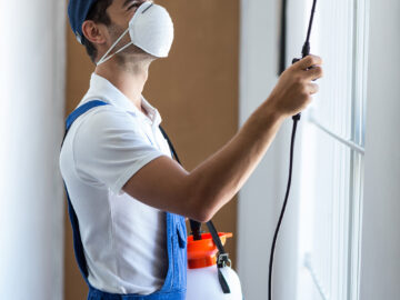 Pest Control Treatment