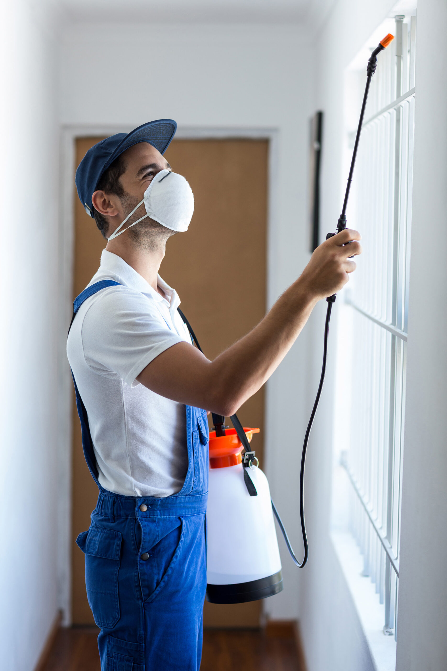 Pest Control Treatment
