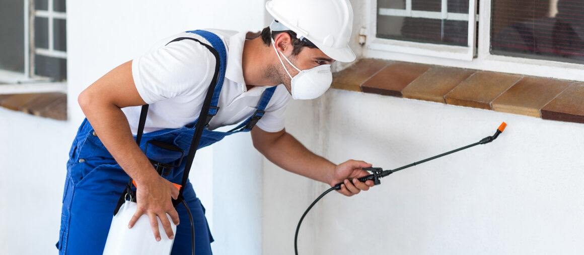Solar Battery Bank Safety Tips